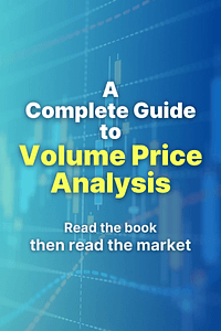 A Complete Guide To Volume Price Analysis by Anna Coulling - Book Summary