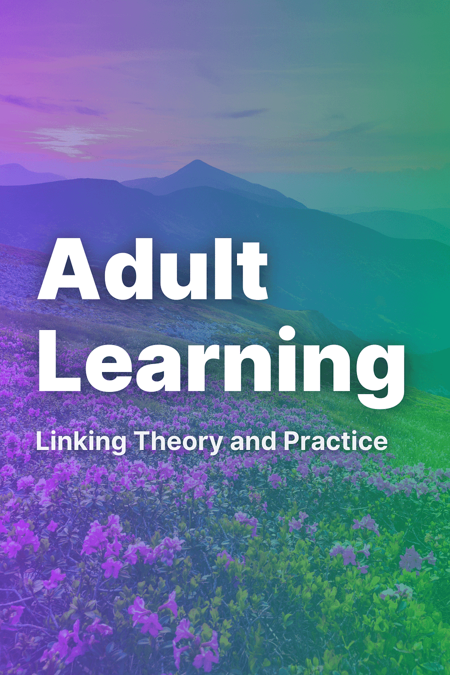 Adult Learning by Sharan B. Merriam, Laura L. Bierema - Book Summary