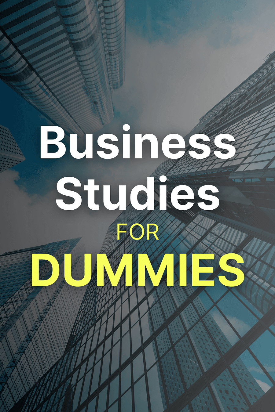 Business Studies For Dummies by Richard Pettinger - Book Summary