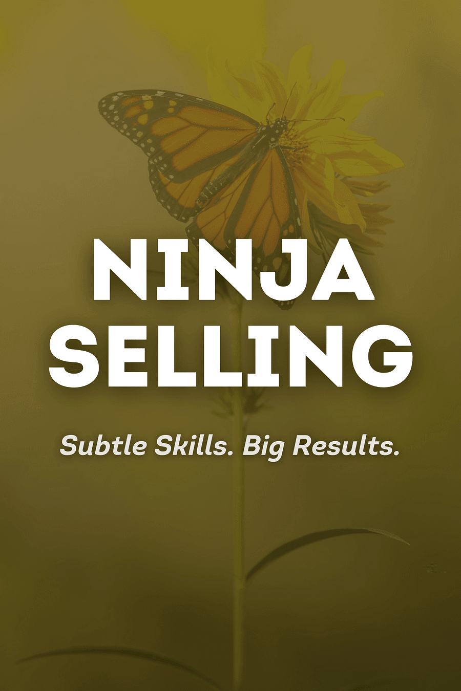 Ninja Selling by Larry Kendall - Book Summary