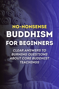 No-Nonsense Buddhism for Beginners by Noah Rasheta - Book Summary