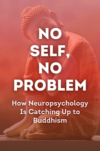 No Self, No Problem by Chris Niebauer PhD - Book Summary