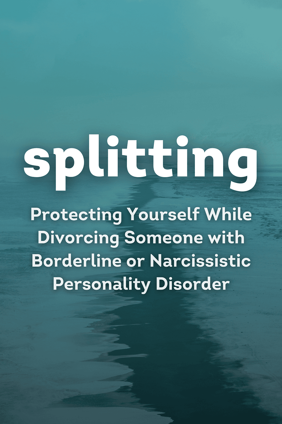 Splitting by Bill Eddy, Randi Kreger - Book Summary