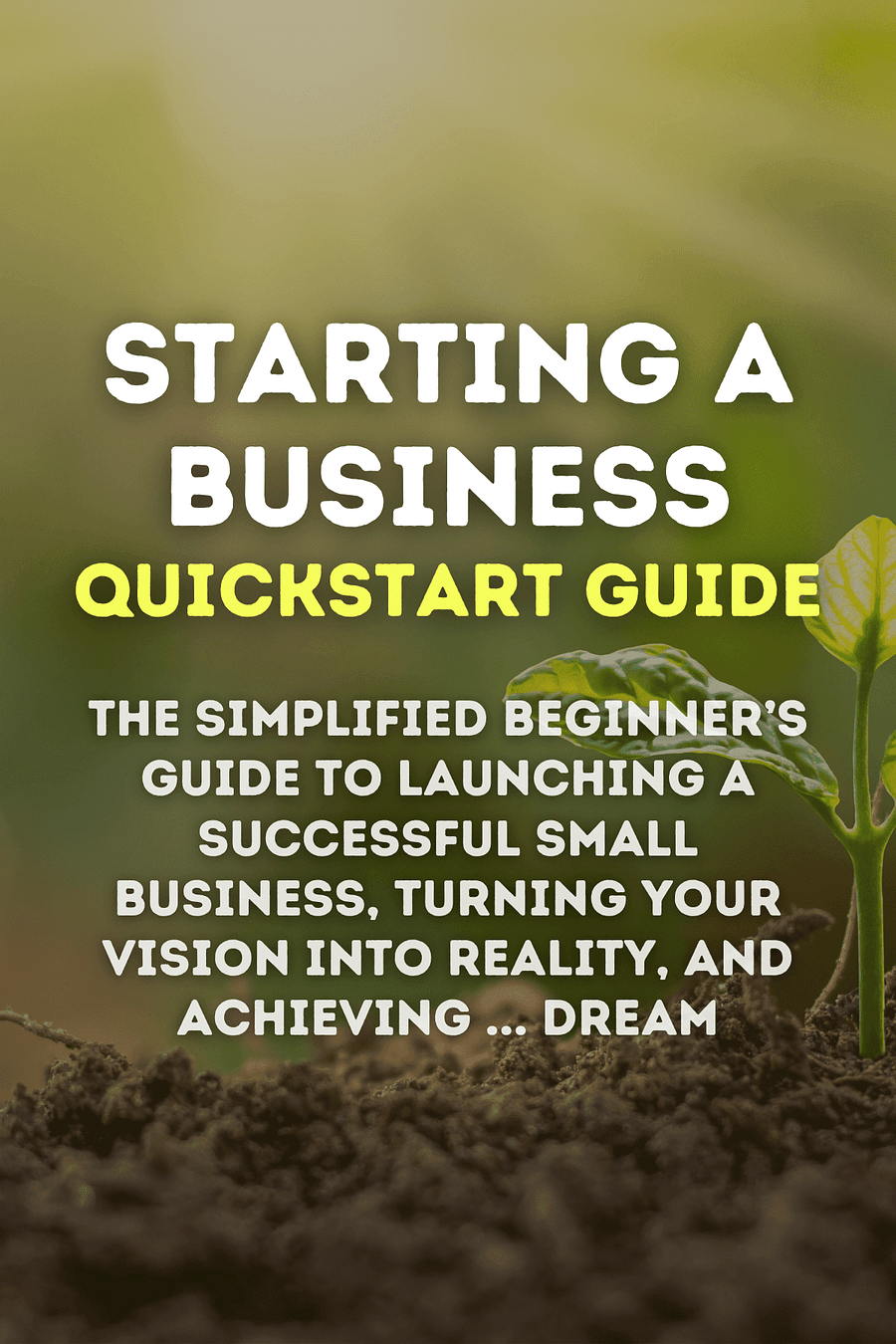 Starting a Business QuickStart Guide by Ken Colwell PhD MBA - Book Summary