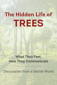 The Hidden Life of Trees by Peter Wohlleben - Book Summary