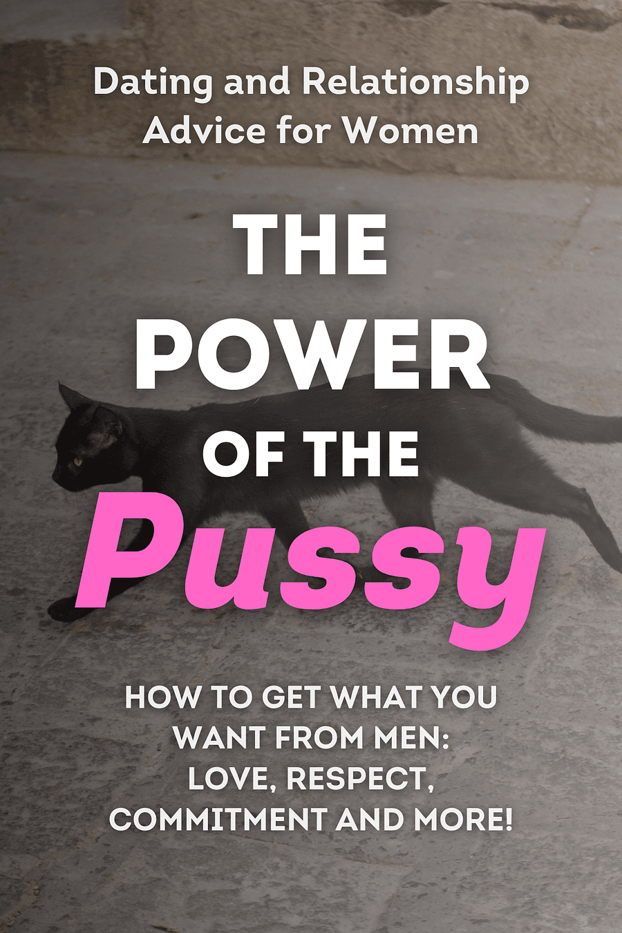 The Power of the Pussy - How to Get What You Want From Men by Kara King - Book Summary
