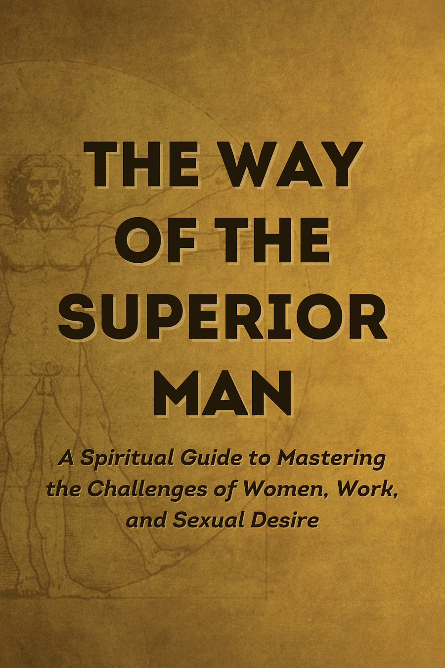 The Way of the Superior Man by David Deida - Book Summary