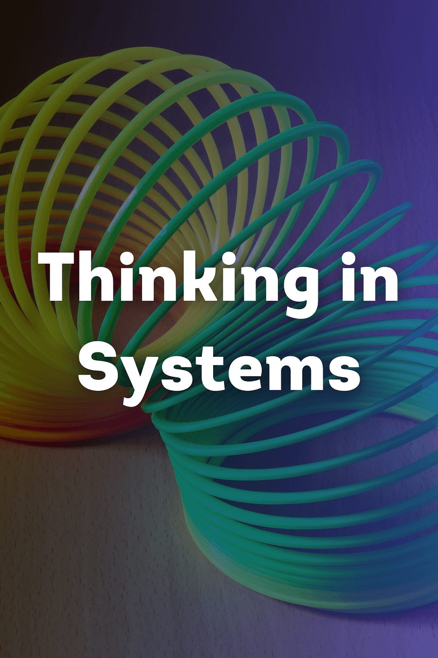 Thinking in Systems by Donella H. Meadows - Book Summary