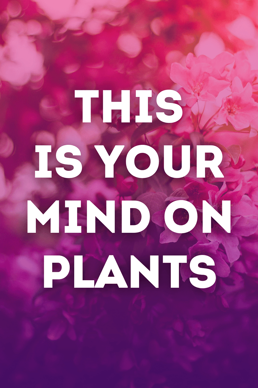 This Is Your Mind on Plants by Michael Pollan - Book Summary