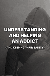 Understanding and Helping an Addict (and keeping your sanity) by Andrew Proulx - Book Summary